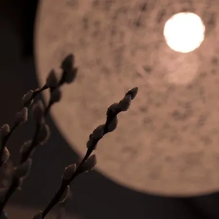 Appart hôtel Vallivana